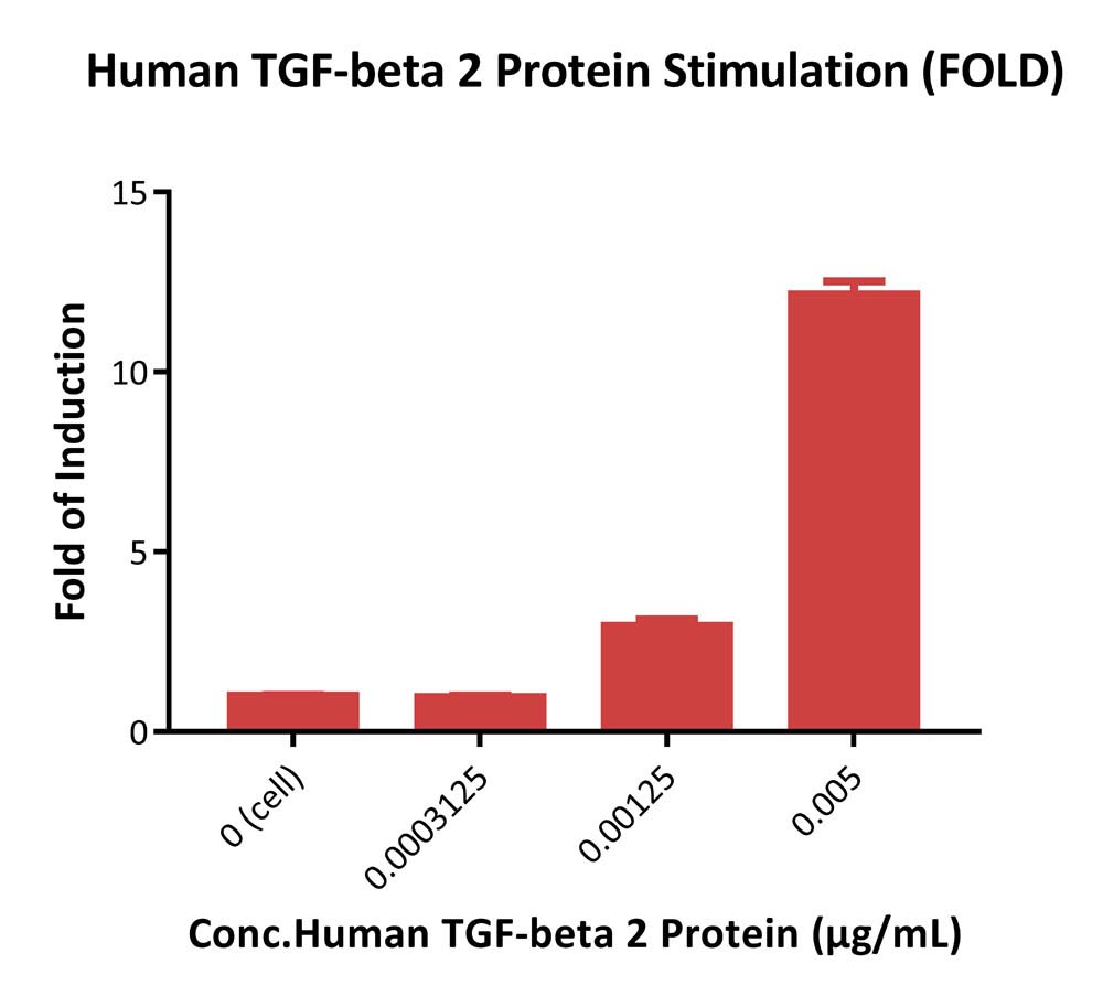 TGF-beta 1 SIGNALING