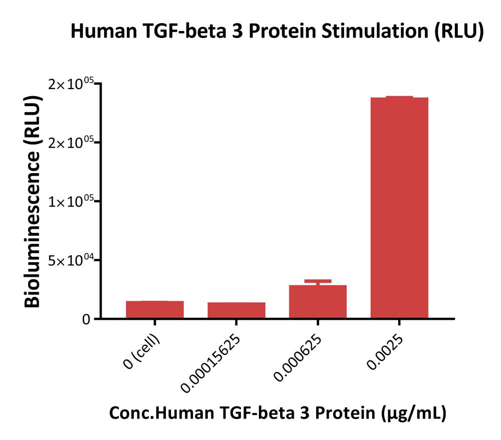 TGF-beta 1 SIGNALING