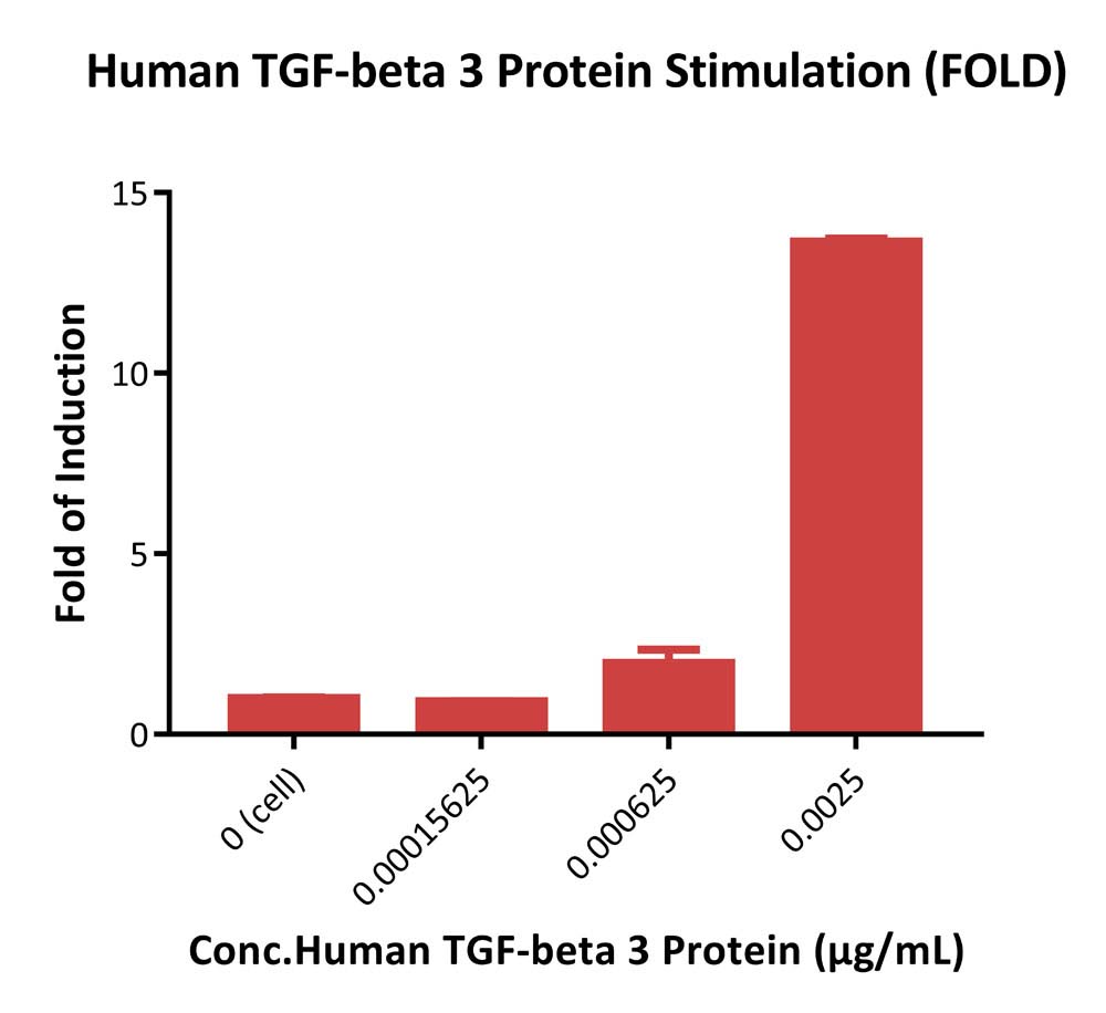 TGF-beta 1 SIGNALING