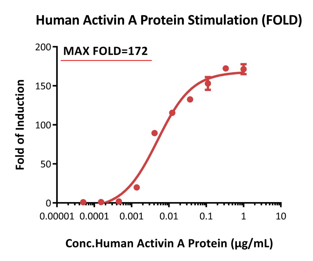 Activin RII SIGNALING