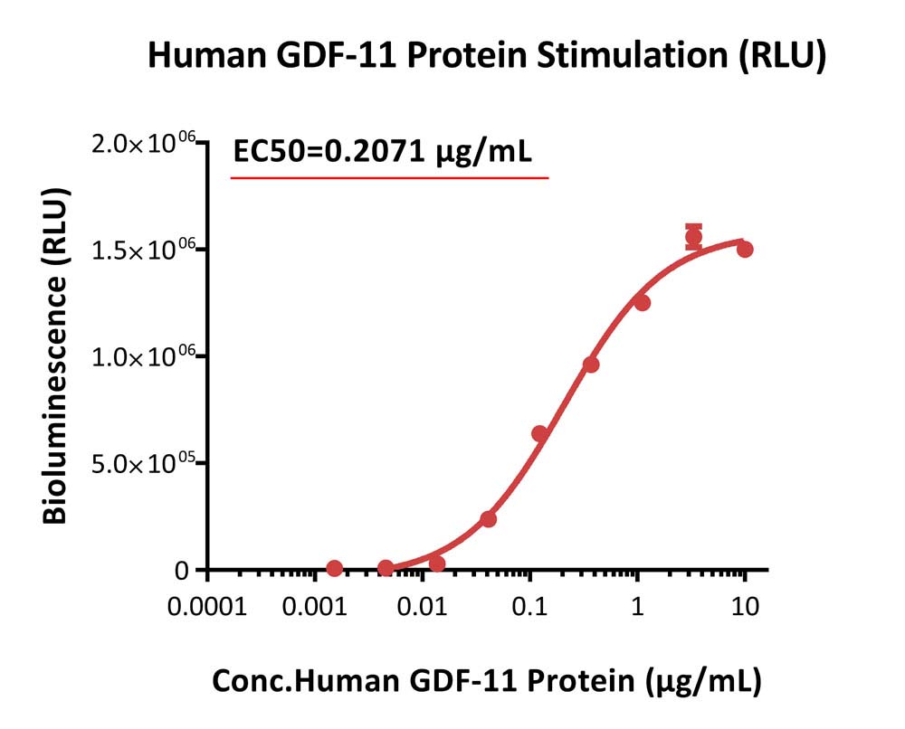 Activin RII SIGNALING