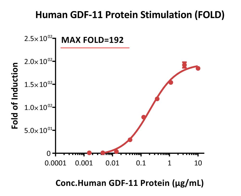 Activin RII SIGNALING