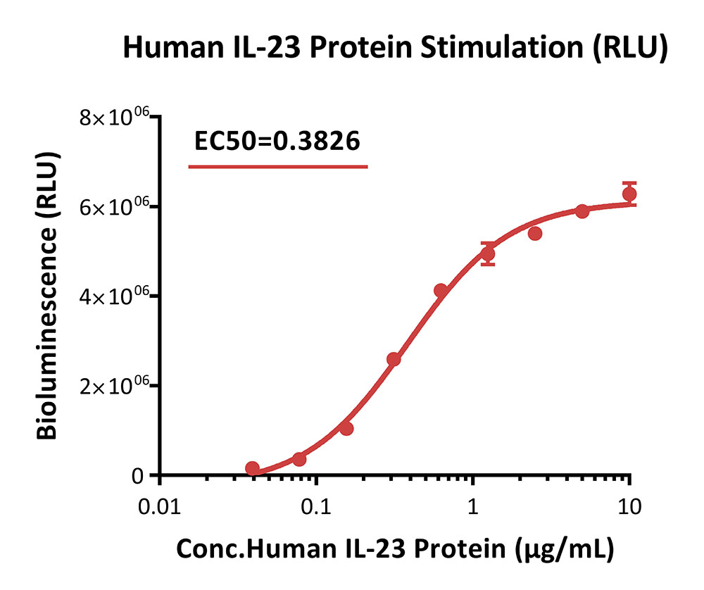 IL-23 R/IL-12 R beta 1 SIGNALING