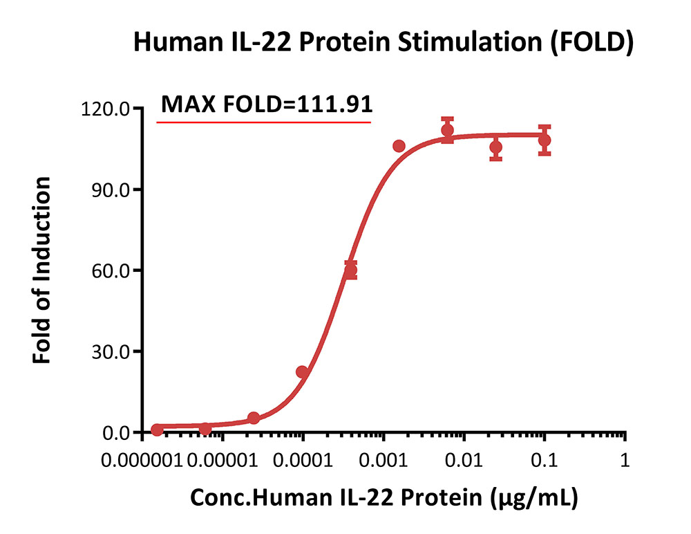 IL-22 R alpha 1/IL-10 R beta SIGNALING