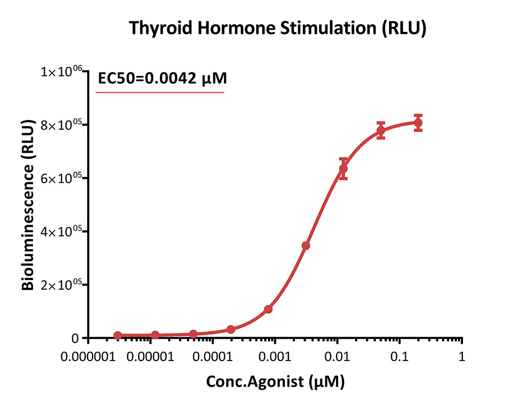 THRB SIGNALING