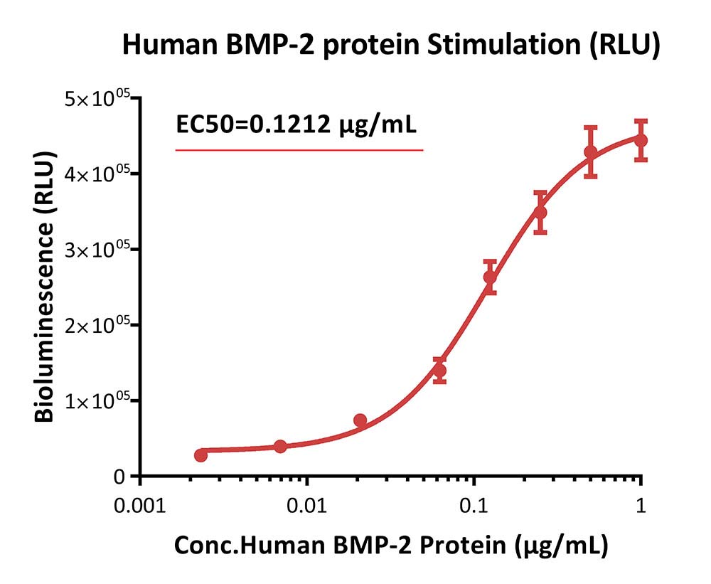 BMP SIGNALING