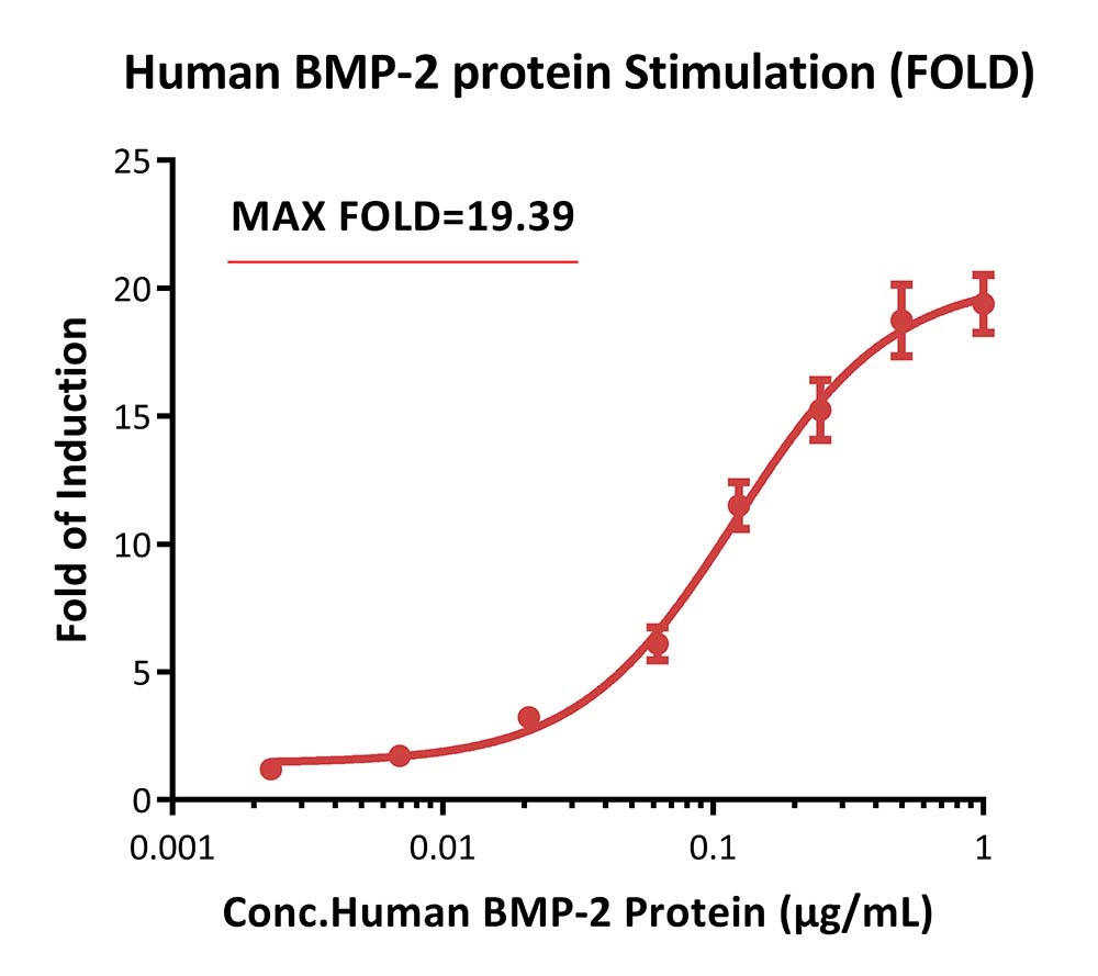 BMP SIGNALING