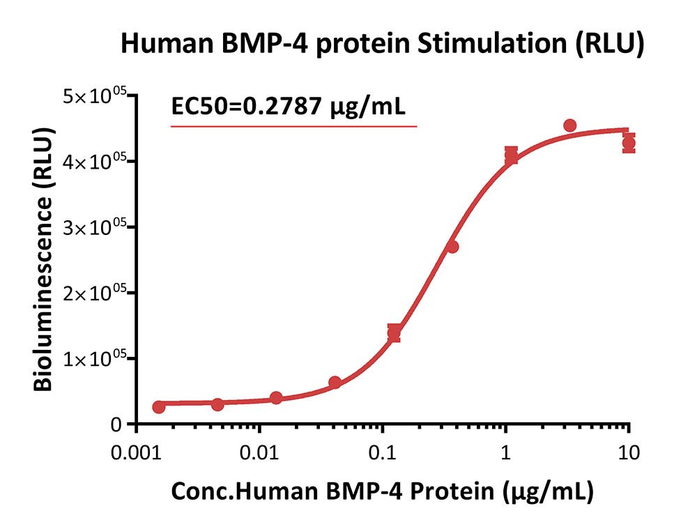 BMP SIGNALING