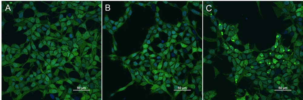 Tau CELL