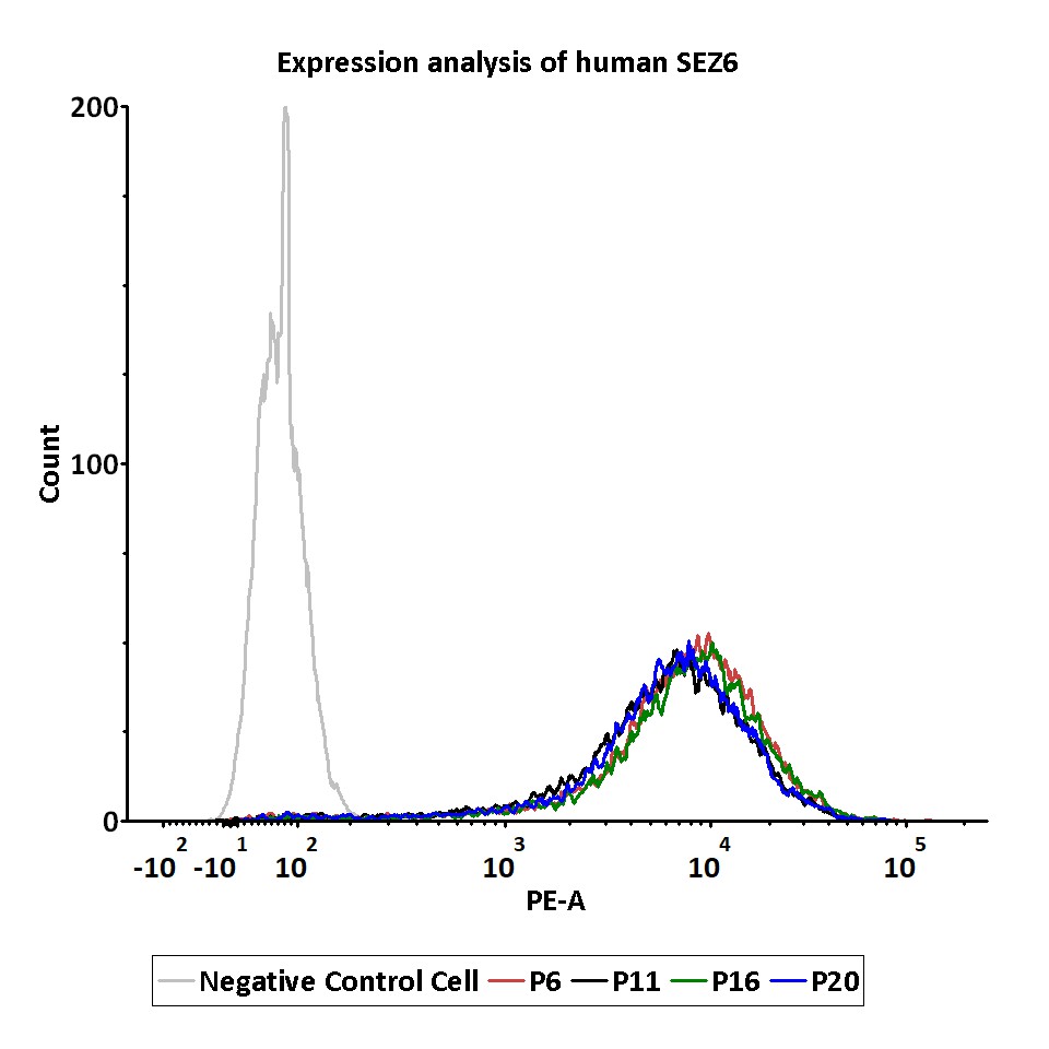 SEZ6 PASSAGE