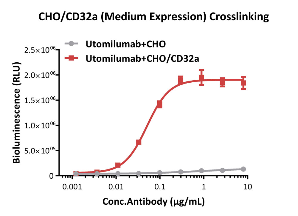 4-1BB & CD32a APPLICATION