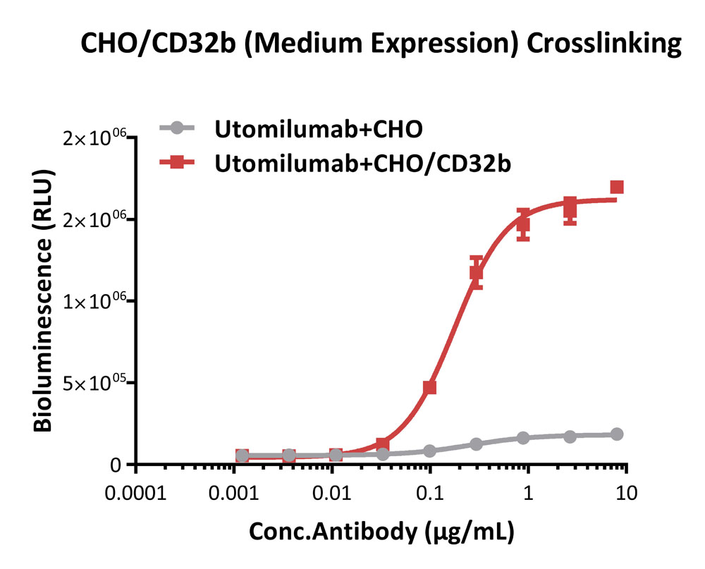 4-1BB & CD32b APPLICATION