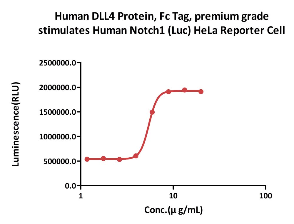 DLL4 CELL