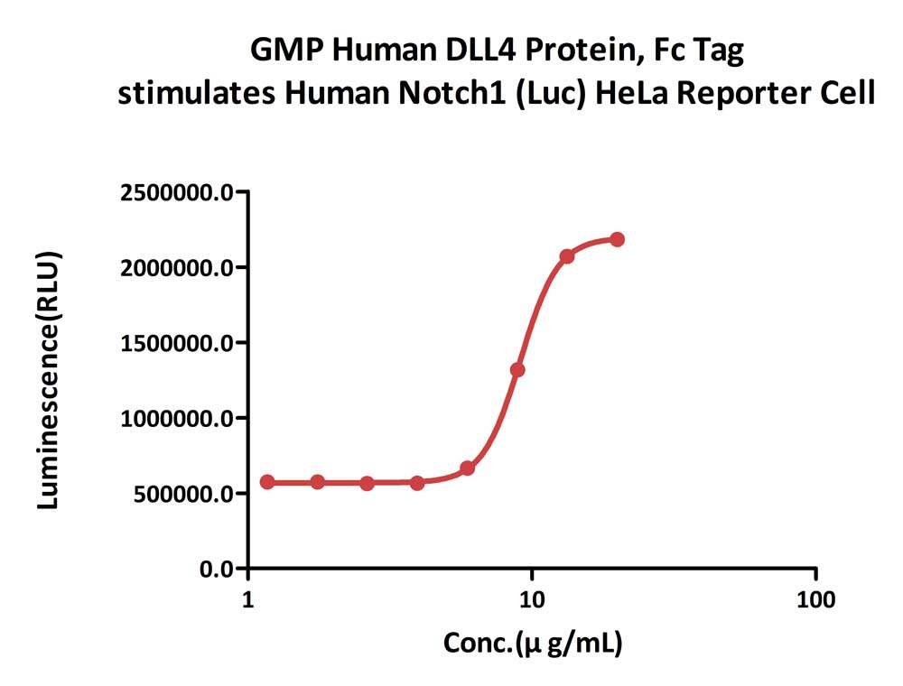 DLL4 CELL