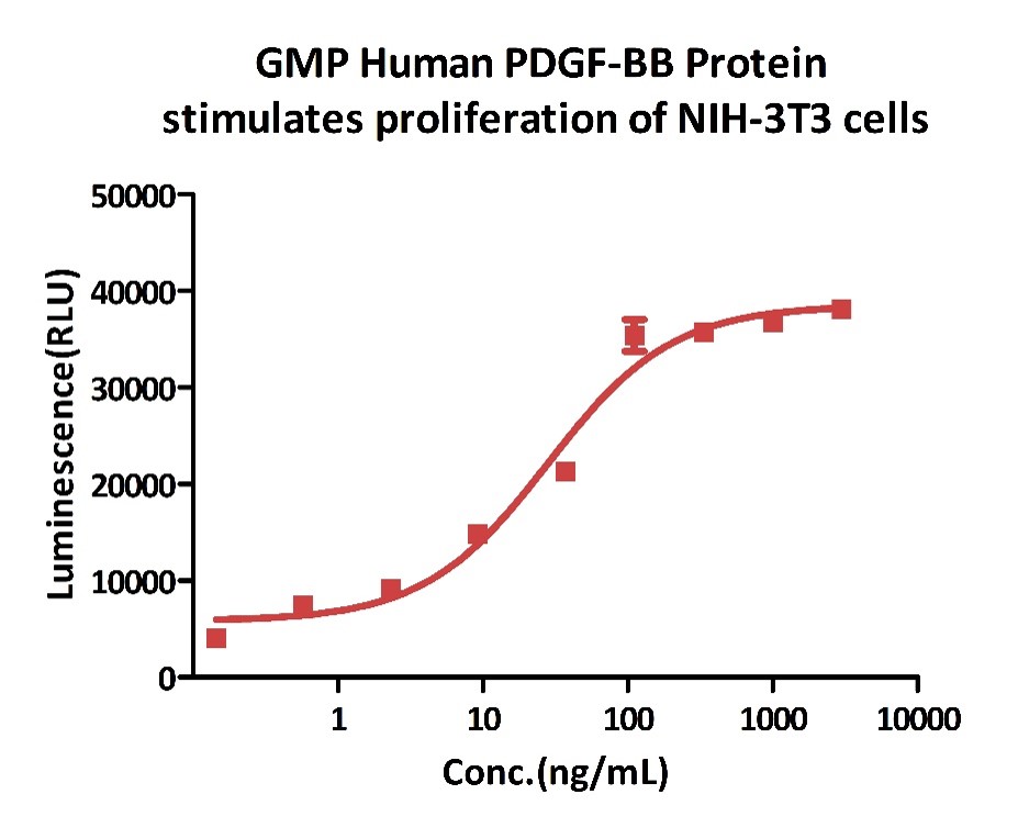 PDGF-BB CELL