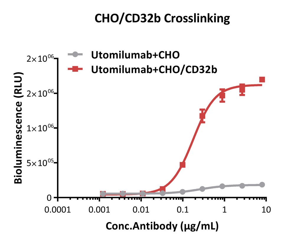 Fc gamma RIIB / CD32b APPLICATION