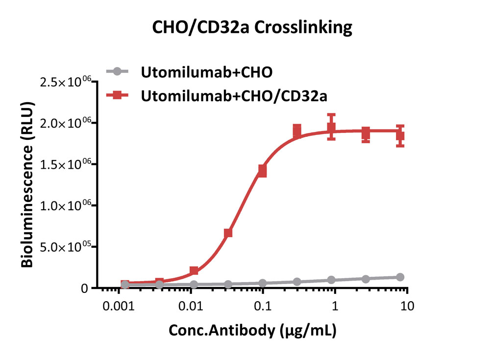 Fc gamma RIIA / CD32a APPLICATION