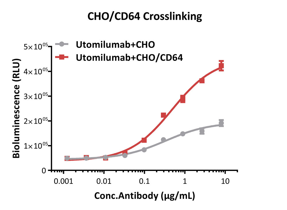 Fc gamma RI / CD64 APPLICATION