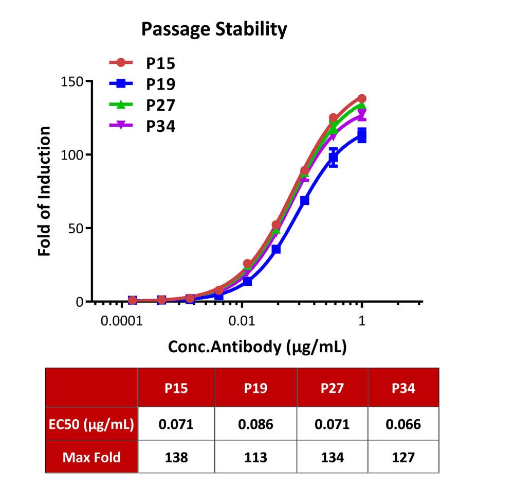 NFAT PASSAGE