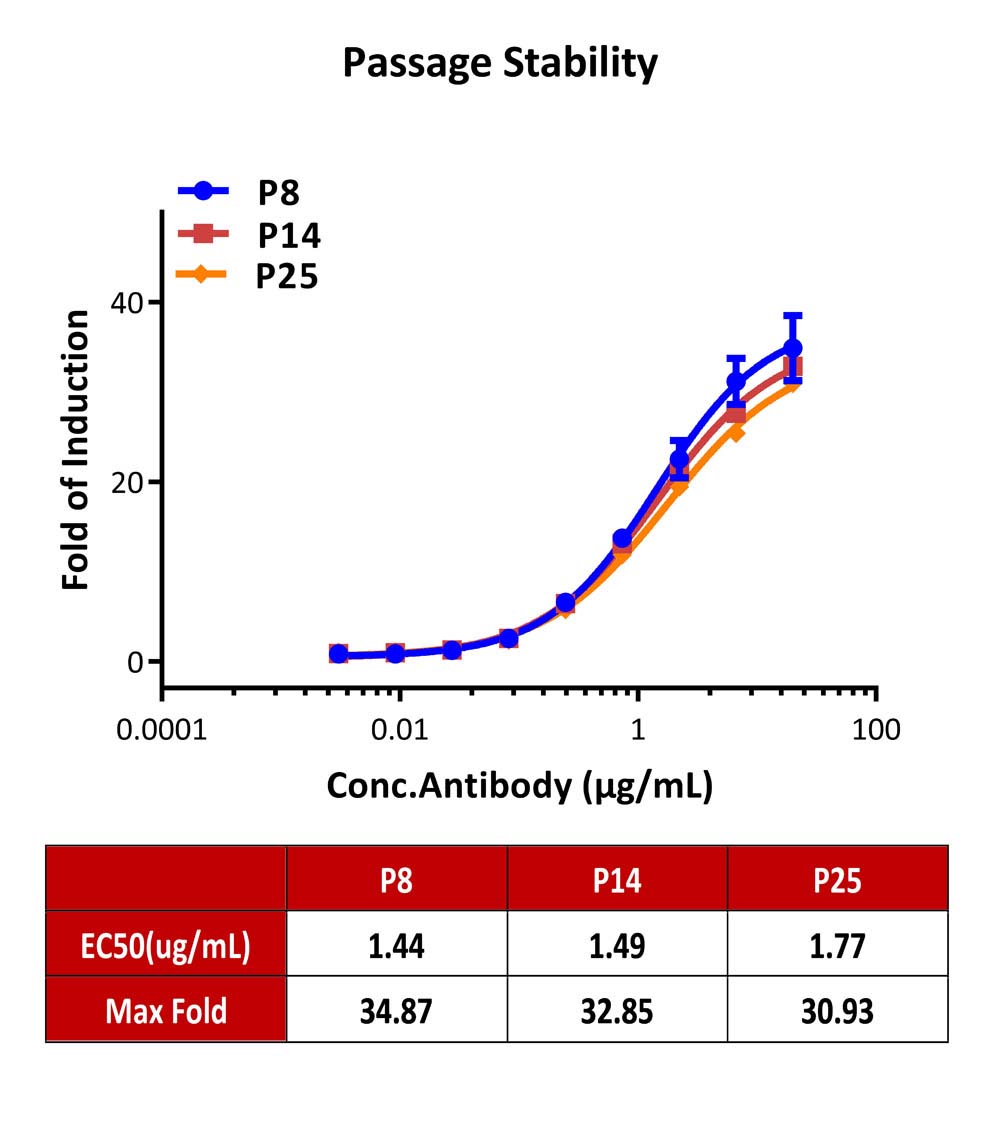 PD-1/LAG-3 PASSAGE