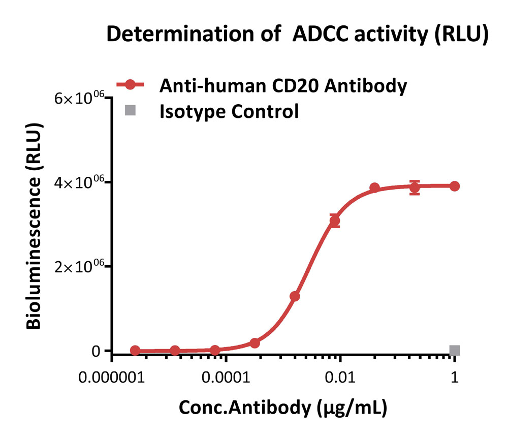 Fc gamma RIIIA / CD16a APPLICATION