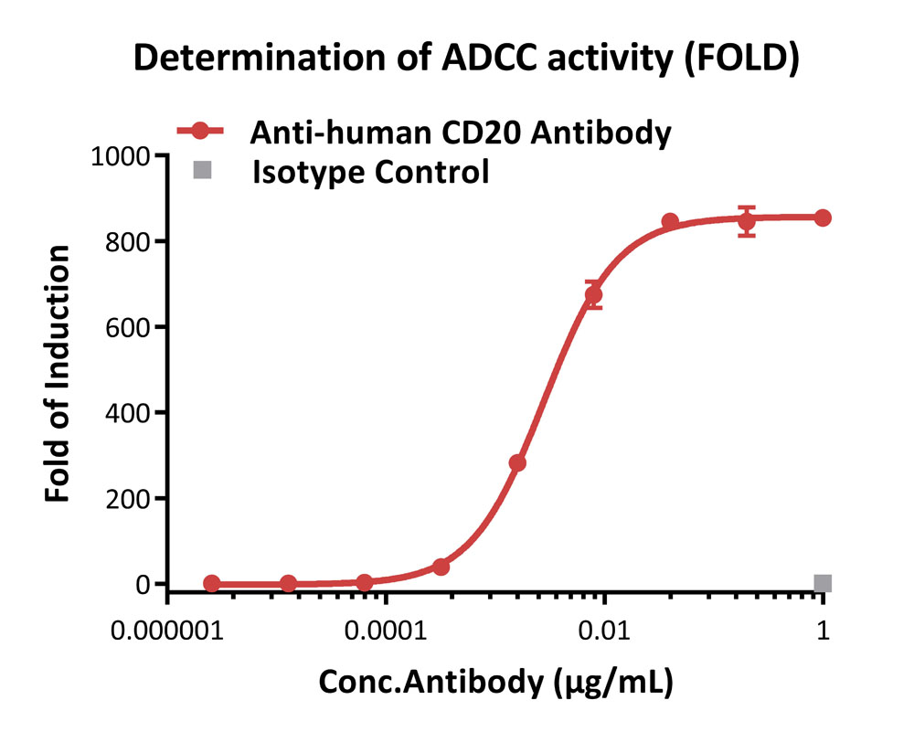 Fc gamma RIIIA / CD16a APPLICATION