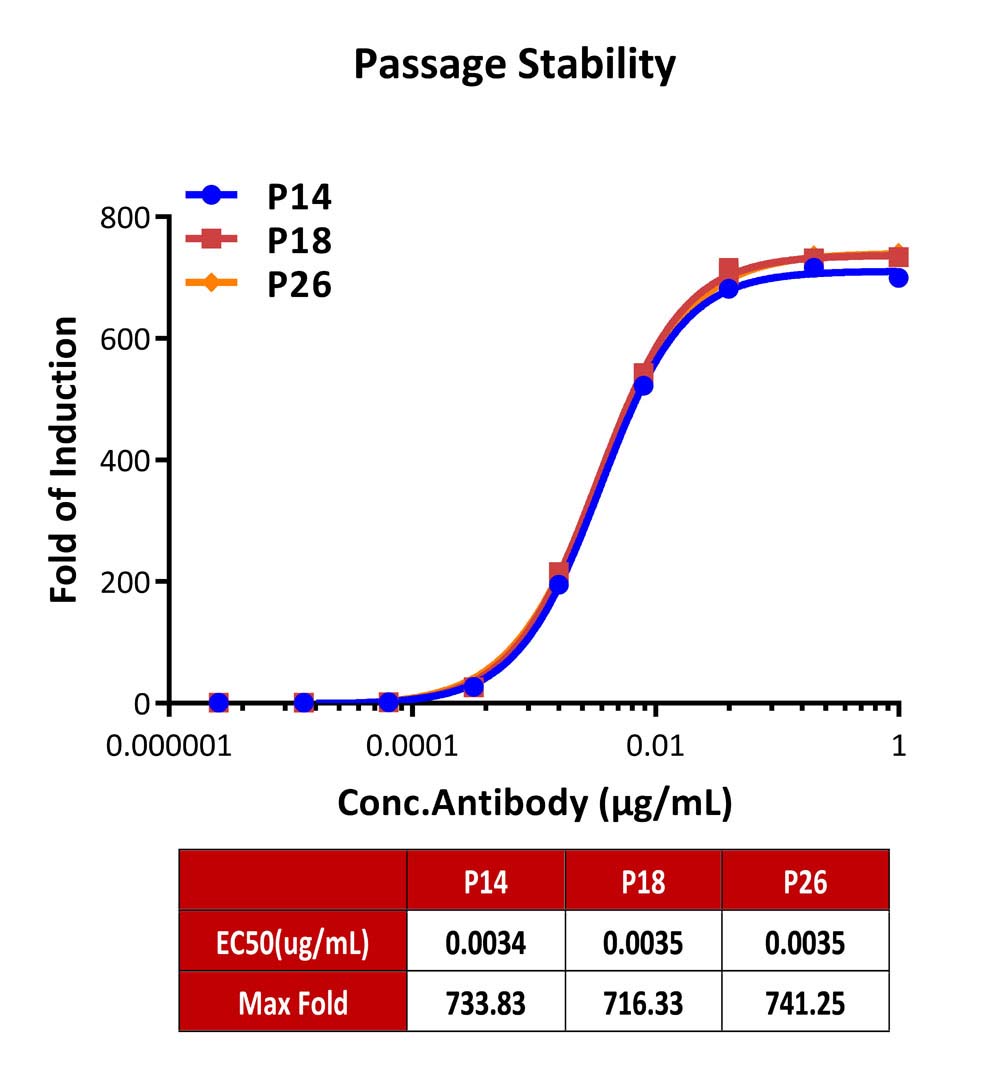 Fc gamma RIIIA / CD16a PASSAGE