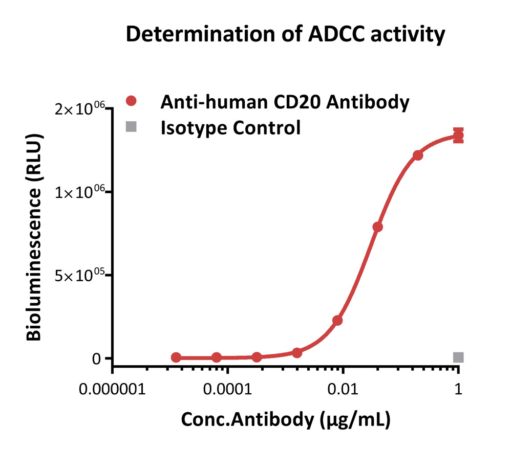 Fc gamma RIIIA / CD16a APPLICATION