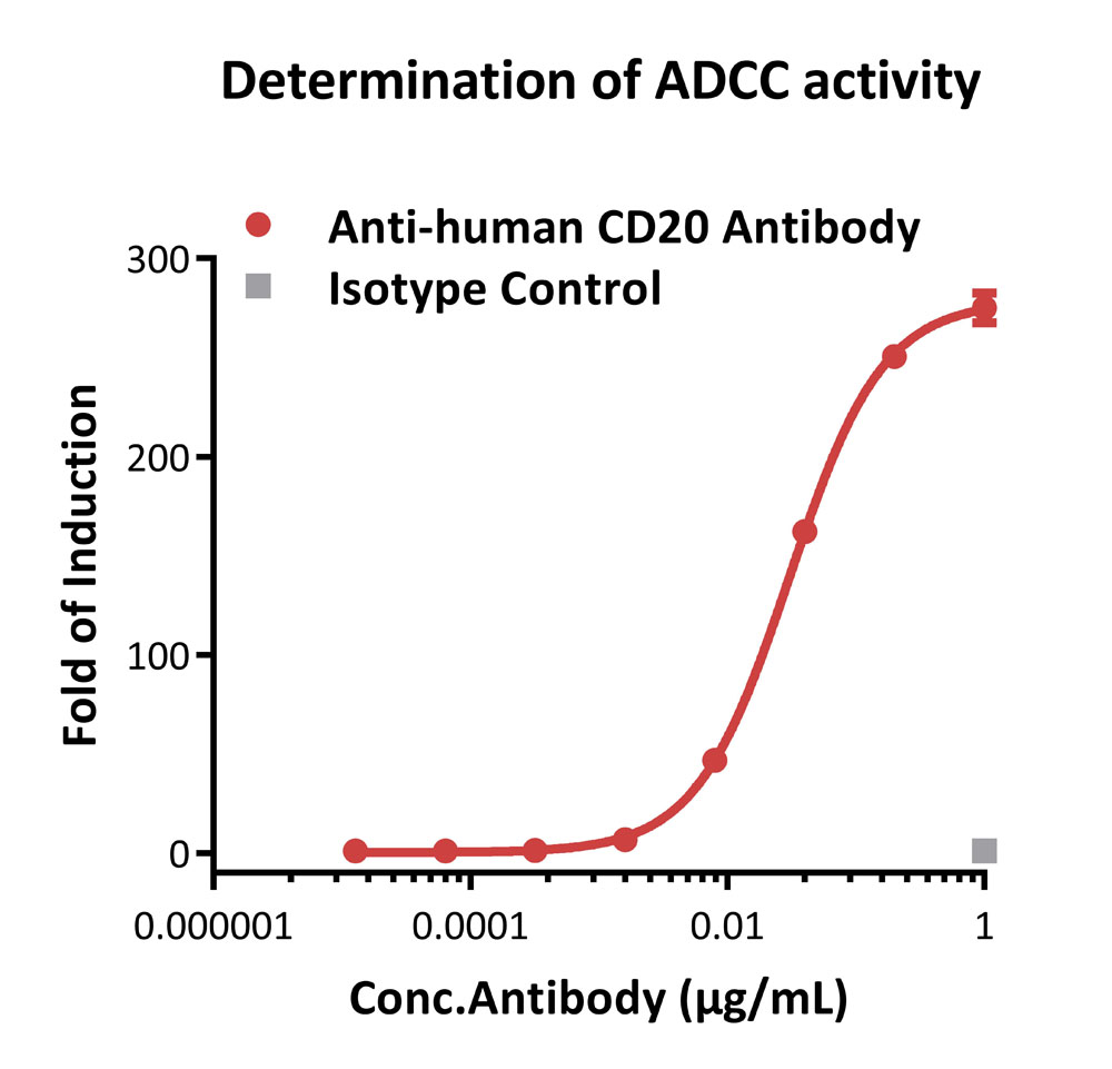 Fc gamma RIIIA / CD16a APPLICATION