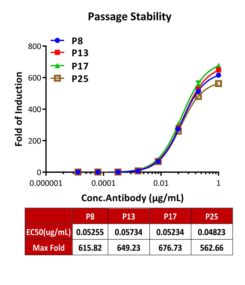 Fc gamma RIIIA / CD16a PASSAGE