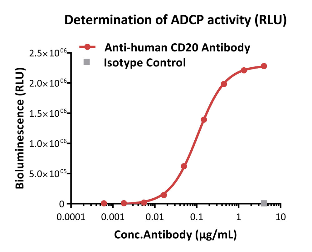 Fc gamma RIIA / CD32a APPLICATION