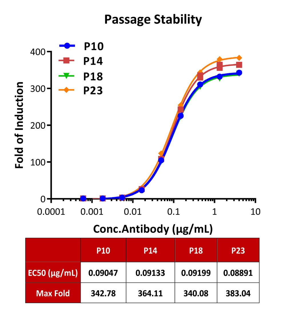 Fc gamma RIIA / CD32a PASSAGE