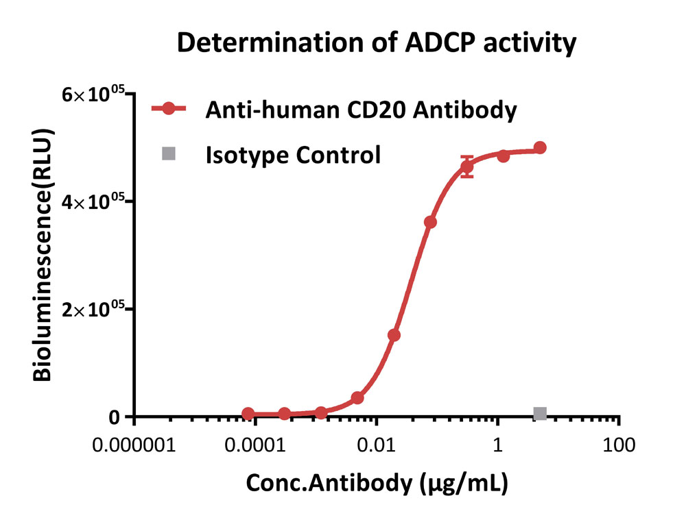 Fc gamma RIIA / CD32a APPLICATION