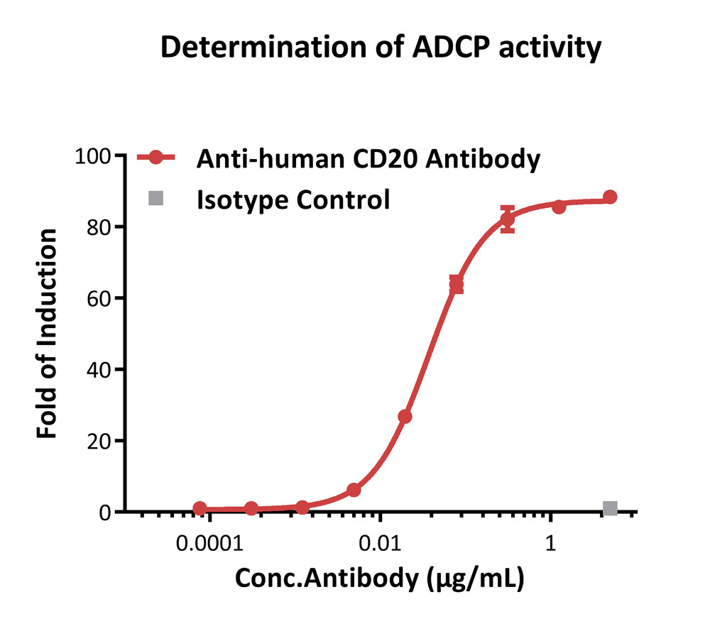 Fc gamma RIIA / CD32a APPLICATION