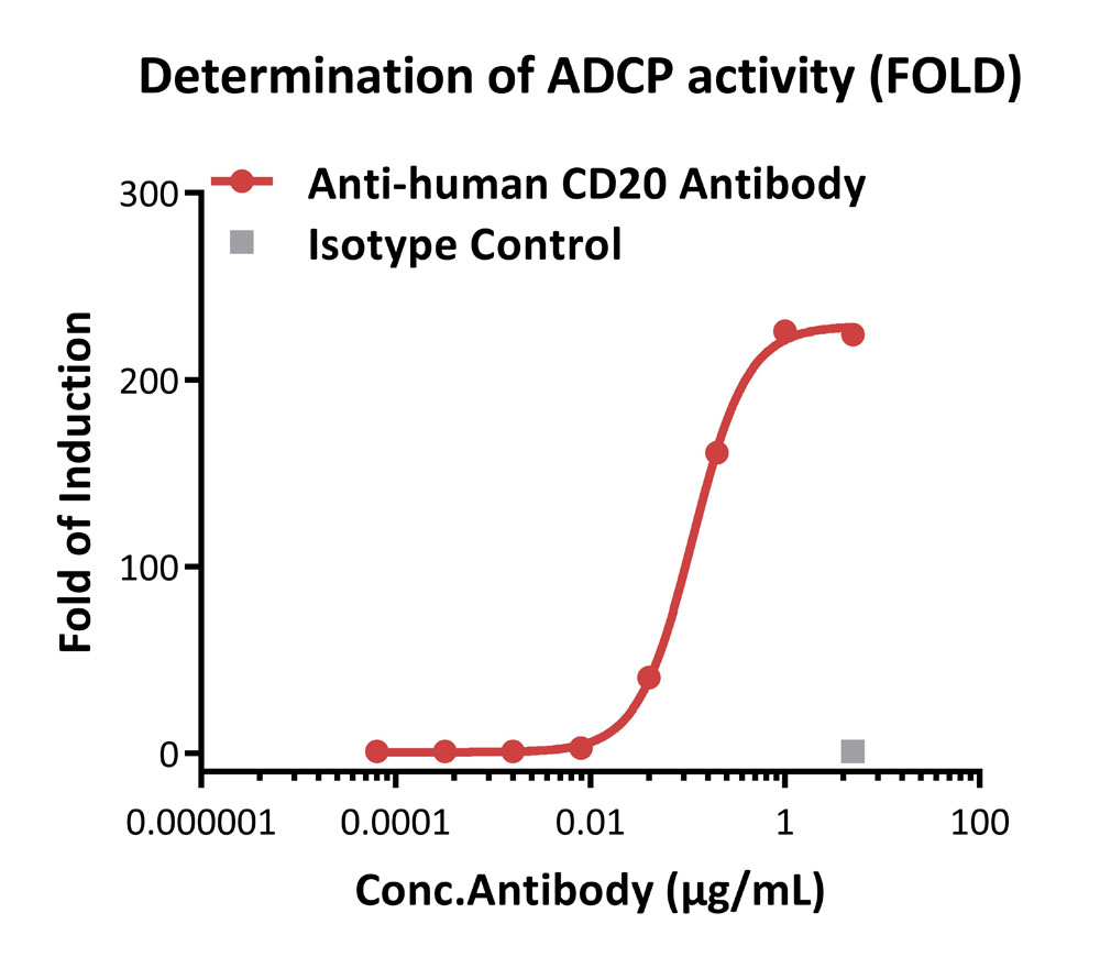 Fc gamma RIIB / CD32b APPLICATION