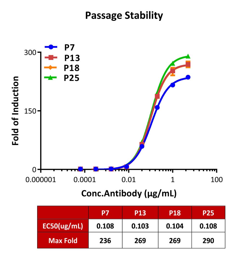 Fc gamma RIIB / CD32b PASSAGE