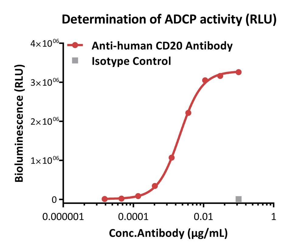 Fc gamma RI / CD64 APPLICATION