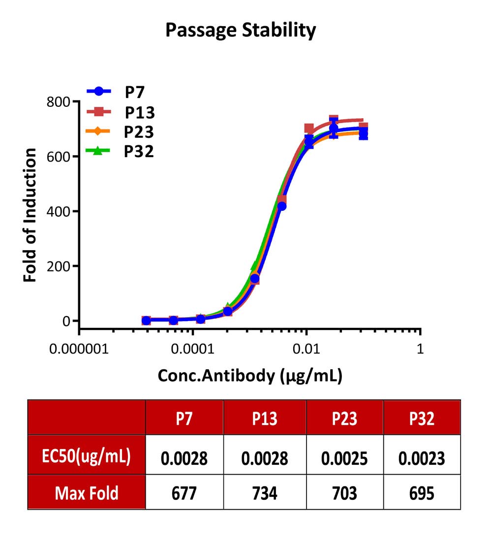 Fc gamma RI / CD64 PASSAGE