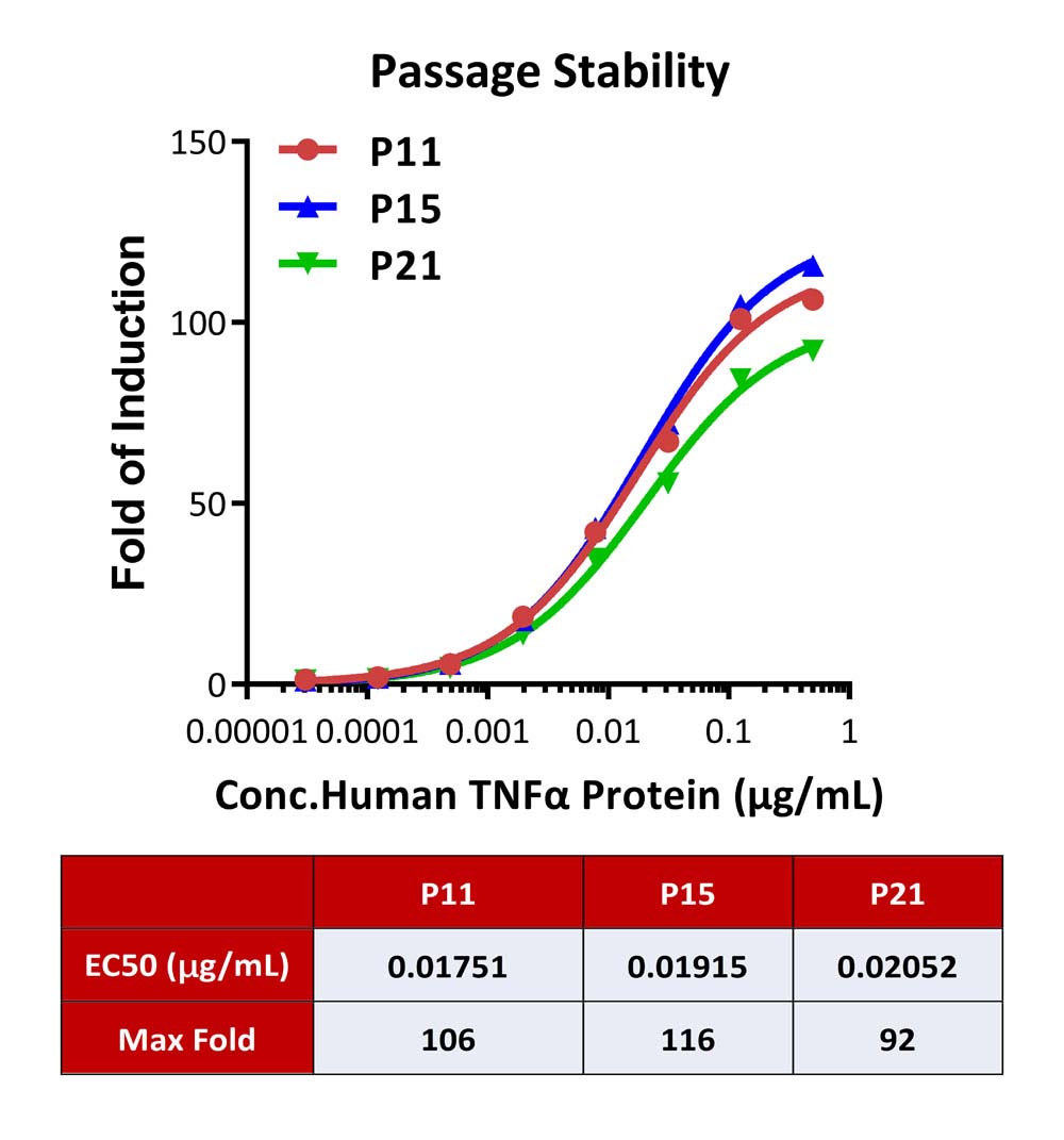 NF-κB PASSAGE