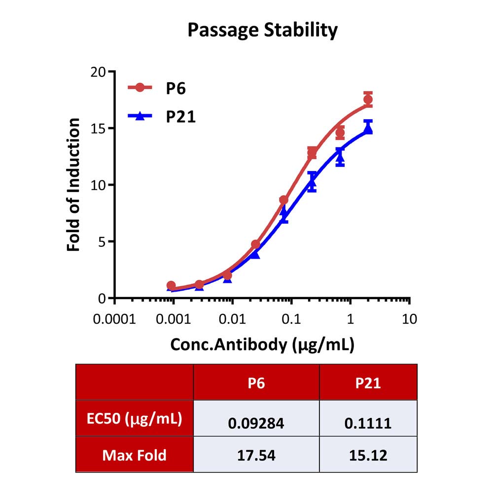 NKp46 PASSAGE