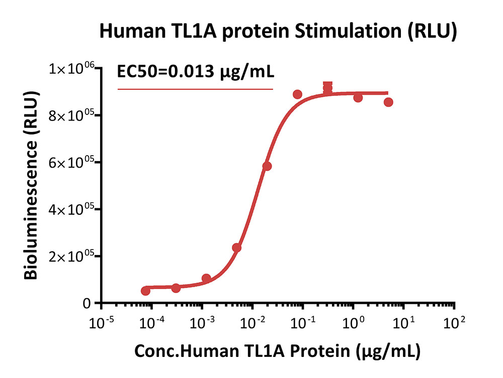 DR3 SIGNALING