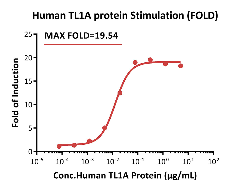 DR3 SIGNALING