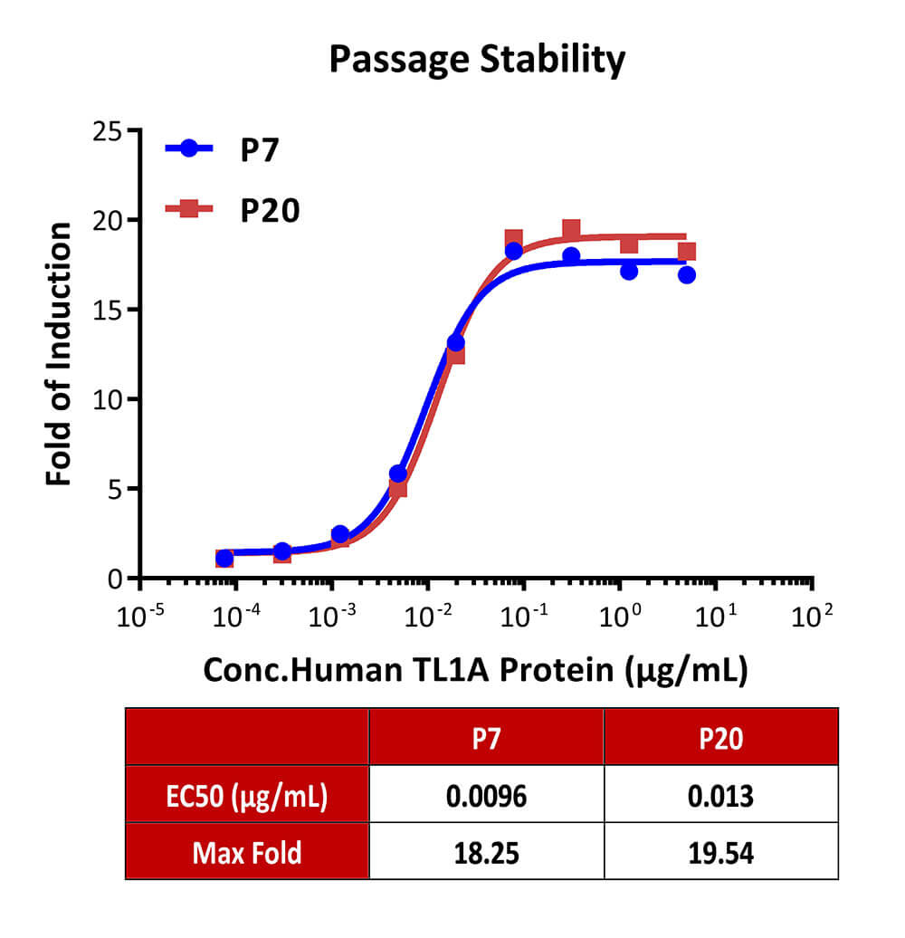 DR3 PASSAGE