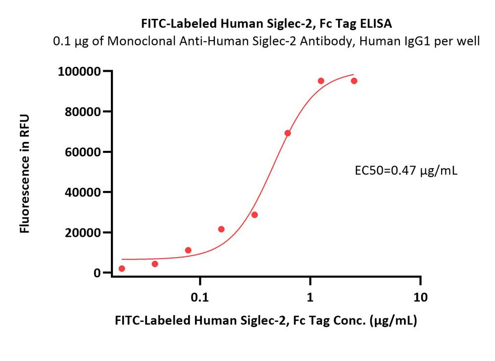 Siglec-2 ELISA