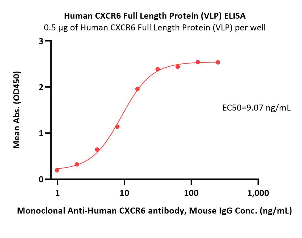 CXCR6 ELISA