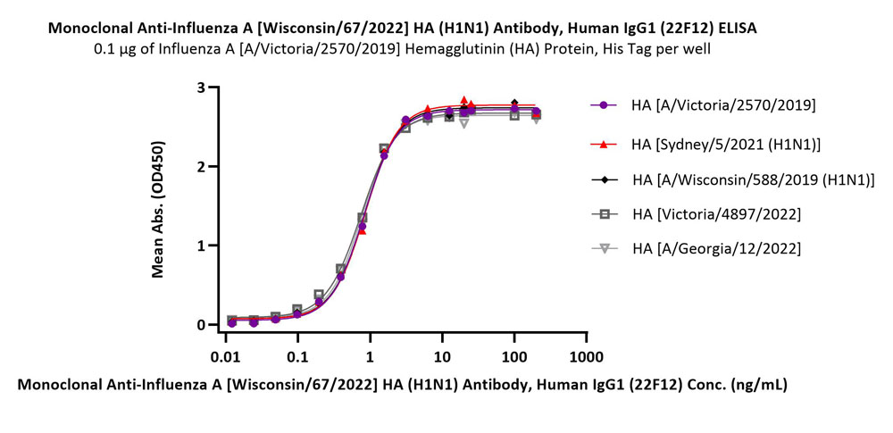 Hemagglutinin/HA (Influenza Virus) ELISA