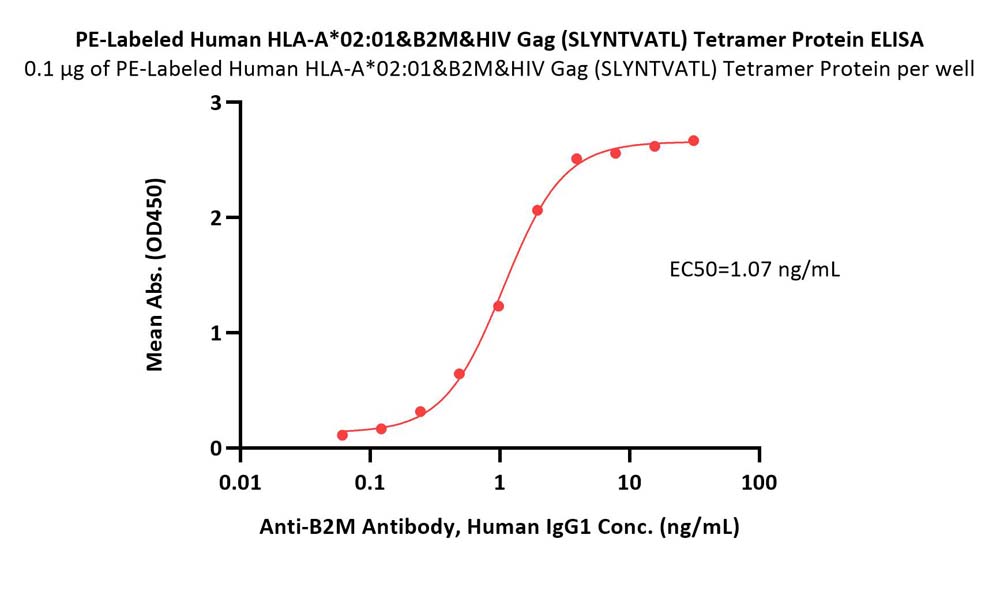 HLA-A*0201 & B2M & HIV Gag (SLYNTVATL) ELISA