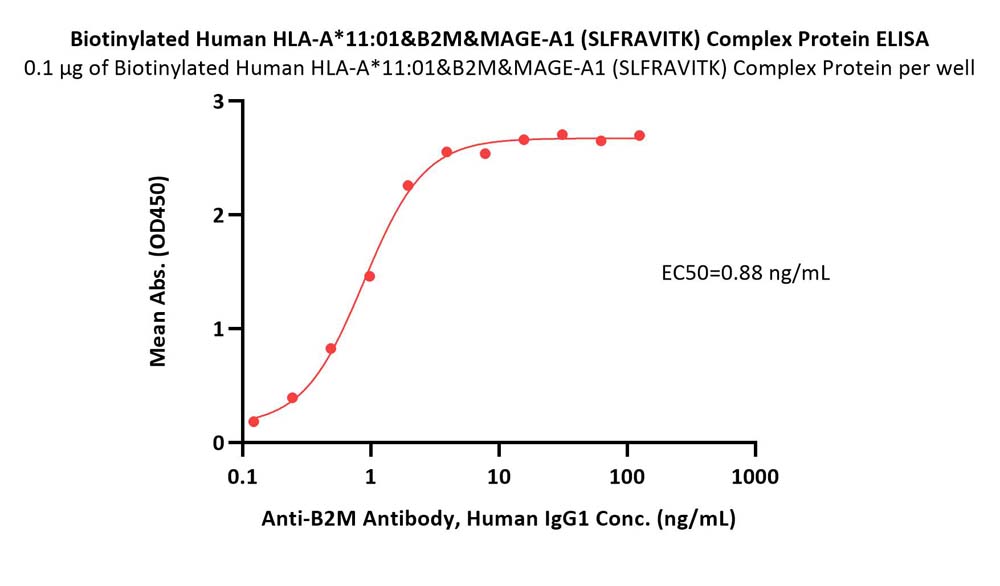 HLA-A*1101 & B2M & MAGE-A1 (SLFRAVITK) ELISA