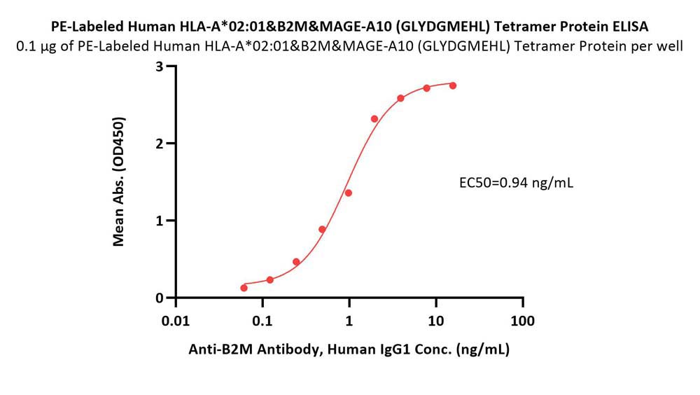 HLA-A*0201 & B2M & MAGE-A10 (GLYDGMEHL) ELISA