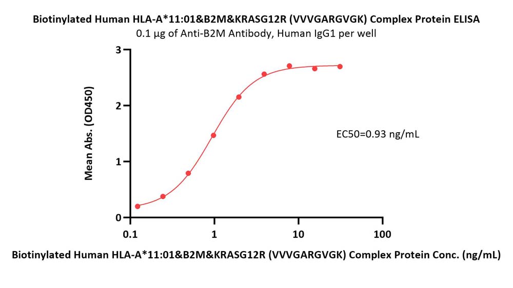 HLA-A*1101 & B2M & KRASG12R (VVVGARGVGK) ELISA